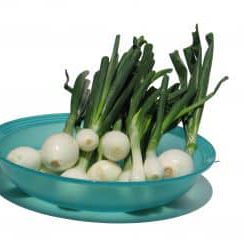 Onions