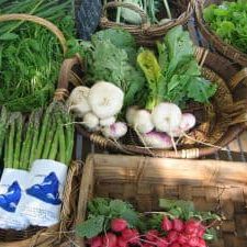 Why Buy Organic?