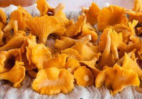 Pan Seared Wild Mushrooms