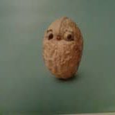 Peanut