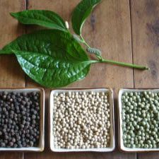 Peppercorns 2