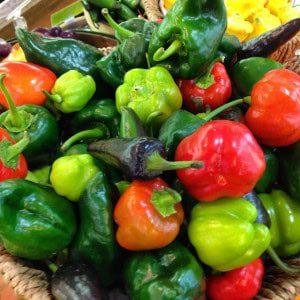 Peppers