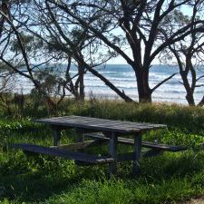 Picnic 4