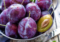 Savory Plum Salad