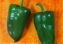 Poblano chili peppers chile Capsicum annuum