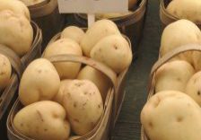 Winter Potato Salad