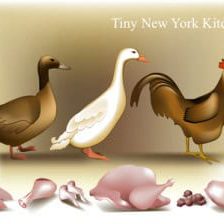 Poultry