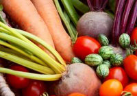 Picnic Produce