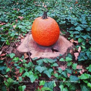 Pumpkin On A Stump