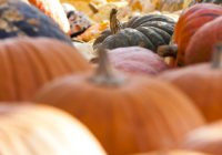 Autumn Autumn