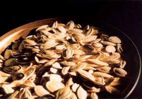 Pumpkins Seeds Pumpkins Seeds