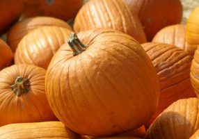 Pumpkins