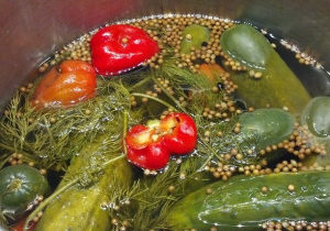 Quick Pickles