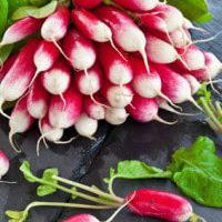 Radishes