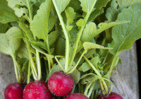 Radish & Cannellini Bean Salad With Charred Green Onion Vinaigrette