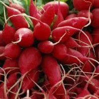 Radishes