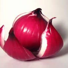 Red Onion