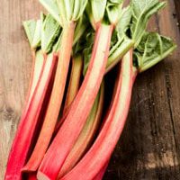 Rhubarb