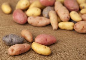 Roasted Fingerling Potatoes With Horseradish Dressing