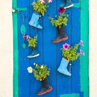 Spring