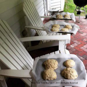 Runzas Rising On The Back Porch 1 copy