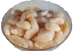 Scallops 2