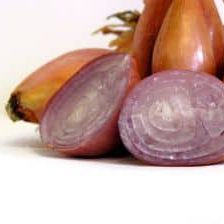 Shallots 1