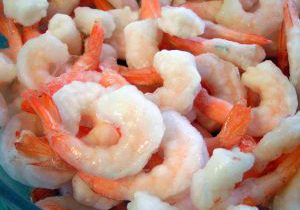 Shrimp