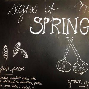Signs Of Spring