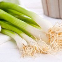 Ramps - Spring Onions