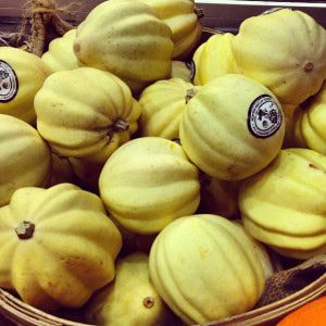 Squash 2