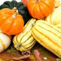 Squash 4