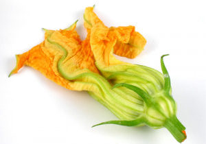 Squash Blossom Crêpes