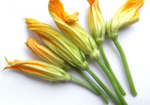 Stuffed Zucchini Flowers