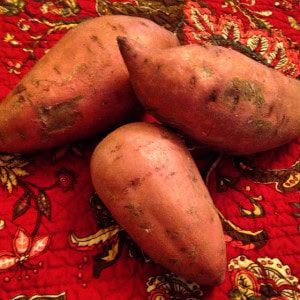 Sweet Potatoes 1