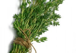 Tarragon