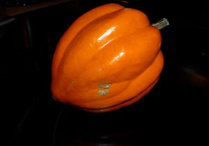Victoria's Baked Acorn Squash