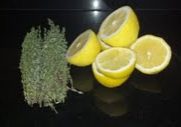Thyme Lemonade 