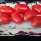 Tomatoes From My Indoor Tomato Plant