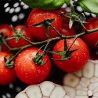 Tomatoes Garlic Basil
