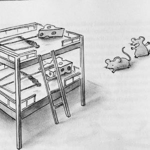 Wait! Maybe they aren't JUST awesome bunk beds with cheese pillows!!!