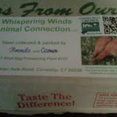 Whispering Winds Eggs 2