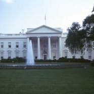 White House 