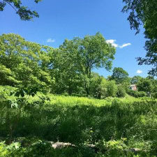 Wilton Meadow 2