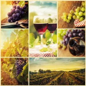 Wine