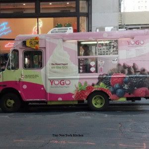 Yogo 2