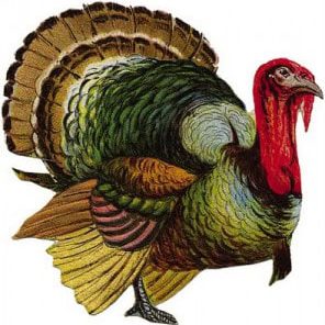 Vintage Turkey