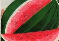 vintage watermelon